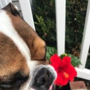 Meet your Posher, Alannah